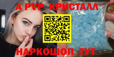 спиды Моздок