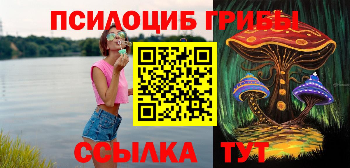 Галлюциногенные грибы Psilocybe  Вход с VPN  Псилоцибиновые грибы мухоморы  магазин  наркотиков  Чебоксары 