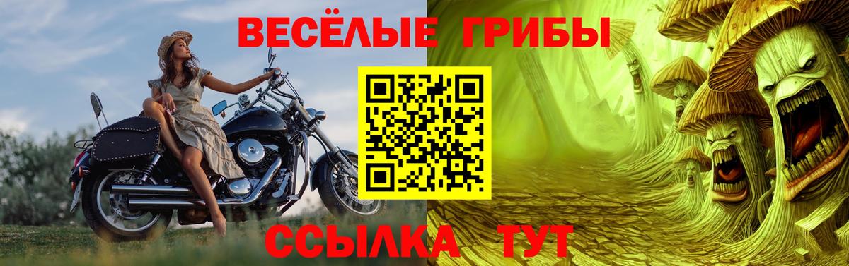 Галлюциногенные грибы ЛСД Чебоксары
